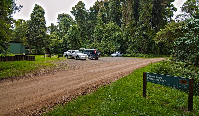Forest Tops campground