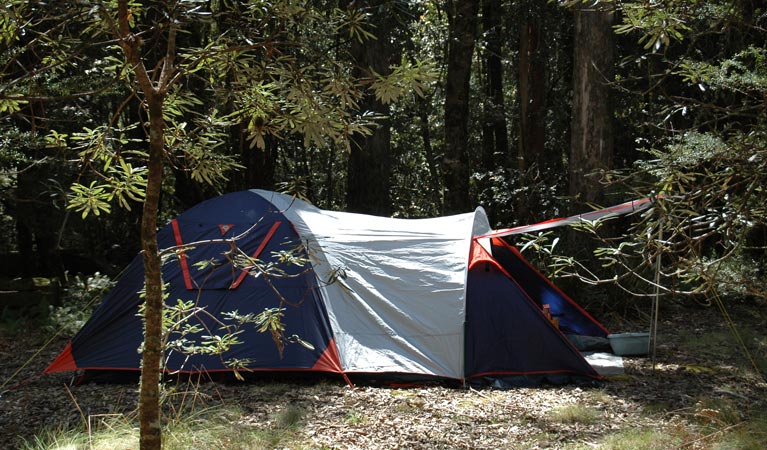 Thungutti campground