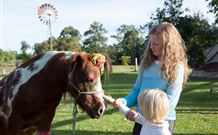 Mogendoura Farm Eurobodalla