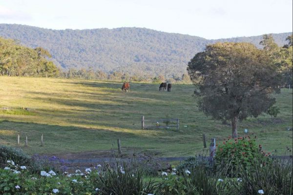 Wallaby Cottage