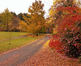Laurel Hill Forest Lodge